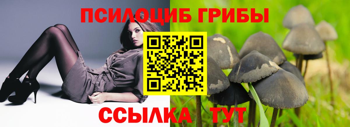 Галлюциногенные грибы прущие грибы Карпинск