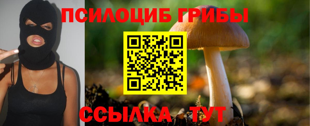 Карпинск  Галлюциногенные грибы ЛСД  Вход с VPN 